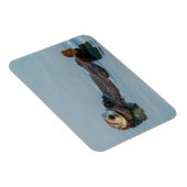 Zee otter die op de rug drijft magneet (Rechterzijde)