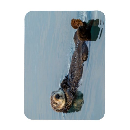 Zee otter die op de rug drijft magneet (Verticaal)