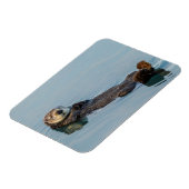 Zee otter die op de rug drijft magneet (Linkerzijde)