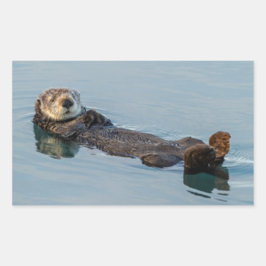 Zee otter die op de rug drijft rechthoekige sticker (Voorkant)