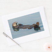 Zee otter die op de rug drijft rechthoekige sticker (Envelop)