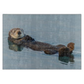 Zee otter die op de rug drijft snijplank (Voorkant)