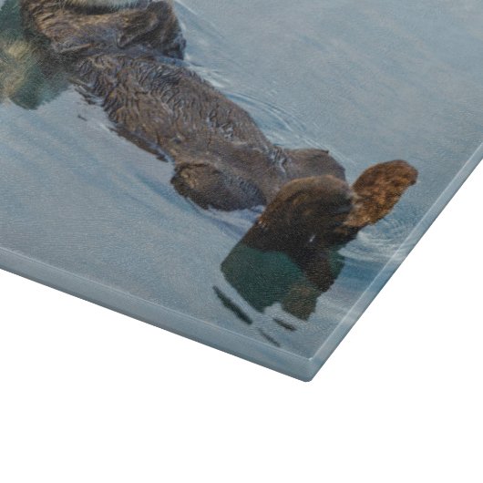 Zee otter die op de rug drijft snijplank (Hoek)