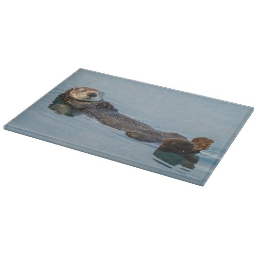 Zee otter die op de rug drijft snijplank (Hoek)