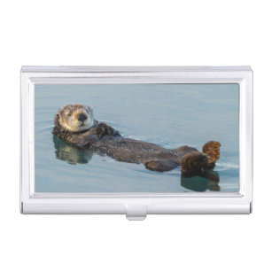 Zee otter die op de rug drijft visitekaarthouder