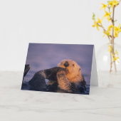 Zee Otter, Enhydra lutris Kaart (Gele Bloem)