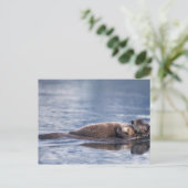 zee otter, Enhydra lutris lutris Briefkaart (Staand voorkant)