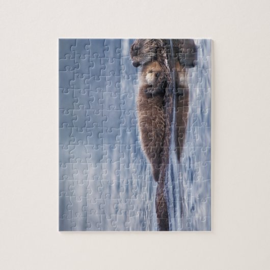 zee otter, Enhydra lutris lutris Legpuzzel (Verticaal)