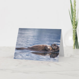 zee otter, Enhydra lutris lutris, moeder met 2 Kaart