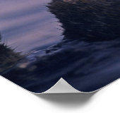 Zee Otter, Enhydra lutris Poster (Hoek)