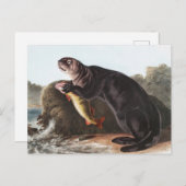 Zee Otter (Enhydra marina) Illustratie Briefkaart (Voorkant / Achterkant)