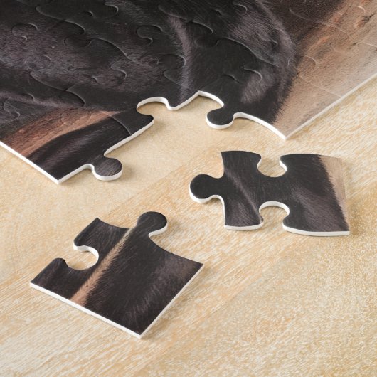 Zee Otter (Enhydra marina) Illustratie Legpuzzel (Zijkant)