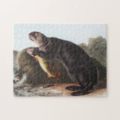 Zee Otter (Enhydra marina) Illustratie Legpuzzel (Horizontaal)