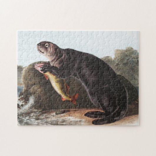 Zee Otter (Enhydra marina) Illustratie Legpuzzel (Horizontaal)