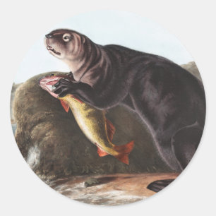 Zee Otter (Enhydra marina) Illustratie Ronde Sticker