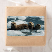 Zee Otter Etiket (Insitu)