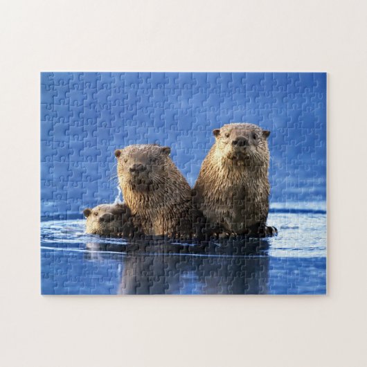Zee Otter Family, Jigzaag Puzzle Legpuzzel (Horizontaal)
