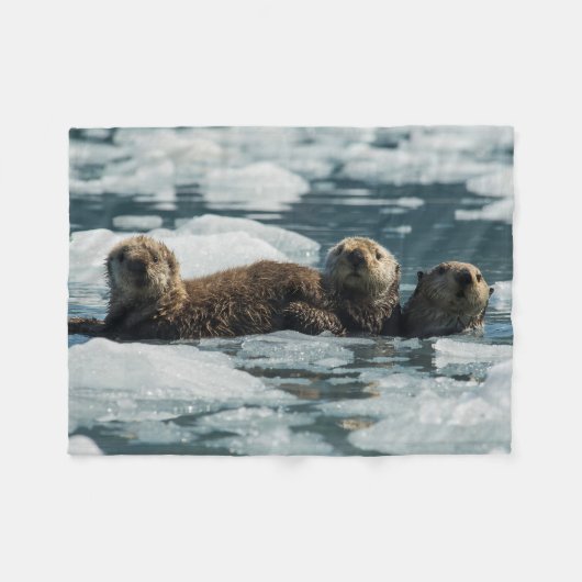 Zee Otter Fleece Deken (Voorkant (Horizontaal))