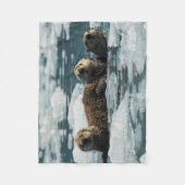 Zee Otter Fleece Deken (Voorkant)