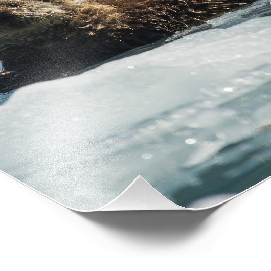 Zee Otter Foto Afdruk (Hoek)