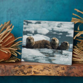Zee Otter Fotoplaat (Zijkant)
