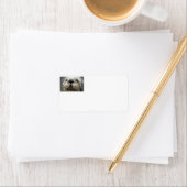 Zee otter gezicht foto Adresetiketten Etiket (Insitu)