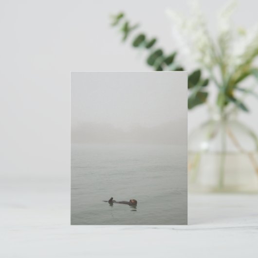 Zee Otter in de mist Briefkaart (Staand voorkant)