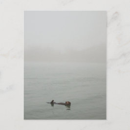 Zee Otter in de mist Briefkaart