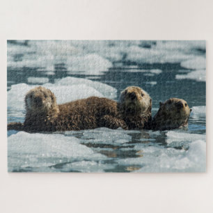 Zee Otter Legpuzzel