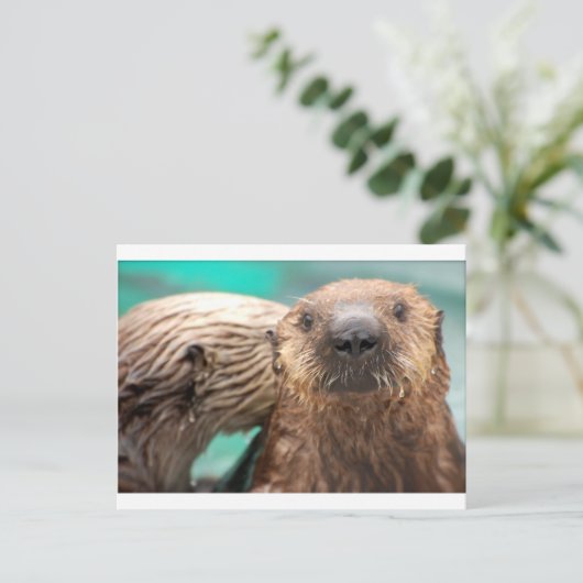 Zee otter liefde briefkaart (Staand voorkant)