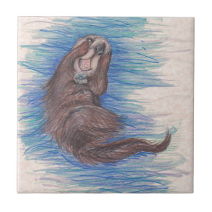 Zee otter Little Wild Animal Critter Cute Tegeltje