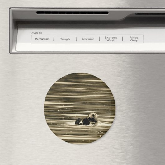 Zee Otter Magneet (Insitu (Vaatwasser))