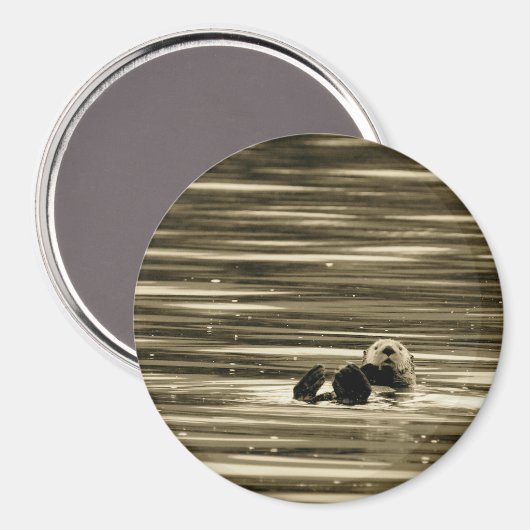 Zee Otter Magneet (Voorkant / Achterkant)