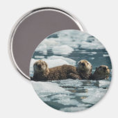 Zee Otter Magneet (Voorkant / Achterkant)