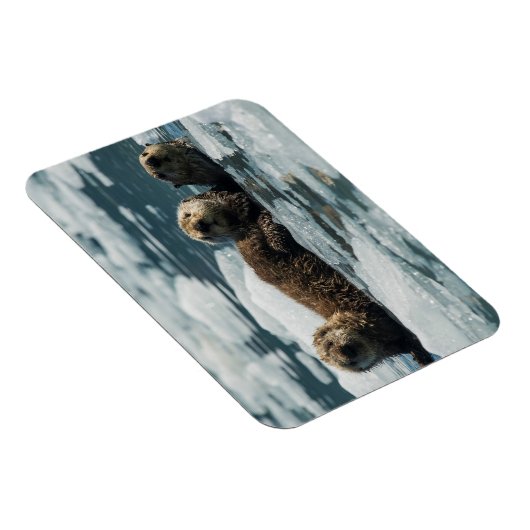 Zee Otter Magneet (Rechterzijde)