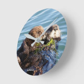 Zee Otter moeder en jongen met kelp Ronde Klok (Hoek)