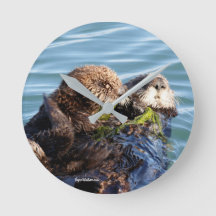 Zee Otter moeder en jongen met kelp