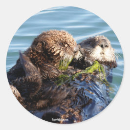 Zee Otter moeder en jongen met kelp Ronde Sticker