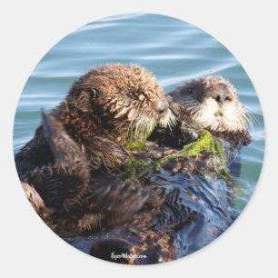 Zee Otter moeder en jongen met kelp Ronde Sticker