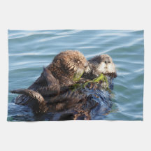 Zee Otter moeder en jongen met kelp