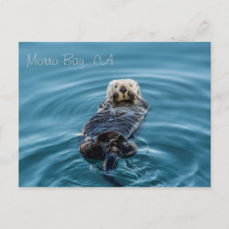Zee Otter - Morro Bay Briefkaart