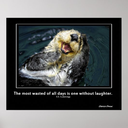 Zee Otter Motivatie Poster (Voorkant)
