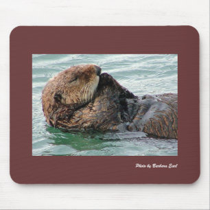 Zee Otter Muismat