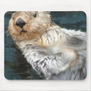 Zee Otter Muismat