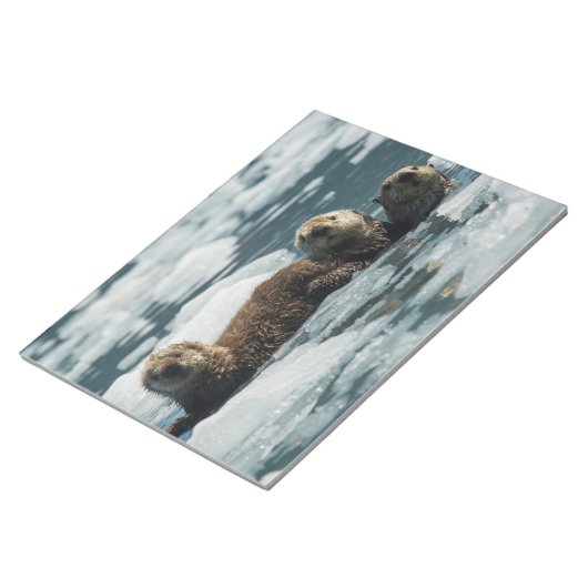 Zee Otter Notitieblok (Schuin)