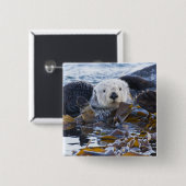 Zee otter omwikkeld in kelp vierkante button 5,1 cm (Voorkant /achterkant)