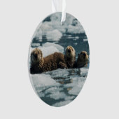 Zee Otter Ornament (voorkant)