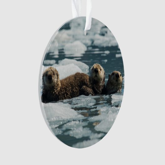 Zee Otter Ornament (voorkant)