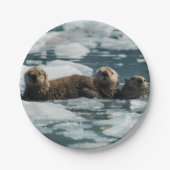 Zee Otter Papieren Bordje (Voorkant)