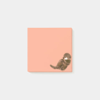 Zee otter post-it® notes